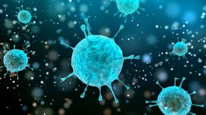 Virus, genetic code, bacteria and microorganisms seen under a microscope. Bacteria Are Blind To Politics Medtech Insight