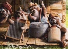 Raccoon Jug Band Funny Birthday Card Greeting Card By Avanti Press Cute Funny Animals Funny Animals Funny Birthday Cards