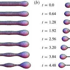 This is not for the faint of heart. Pdf Pearling Wrinkling And Buckling Of Vesicles In Elongational Flows