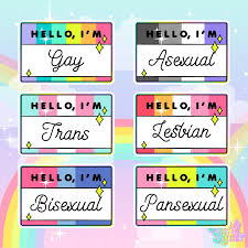Pin On Bisexuality And Pride