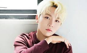 He is also a member of the vocal unit and . Seungkwan Seventeen Members Profile Vote