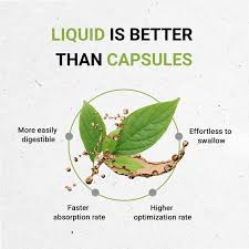 Image result for Cryptolepis