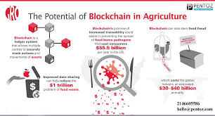 But how are we sure that it's safe, again? Blockchain Technology Can Be Compared To An Online Filing System Used To Record Data App Development Companies App Development Mobile App Development Companies