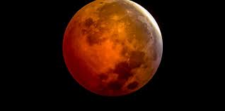 We are a community of creative and diverse individuals who come together. How To View The Total Lunar Eclipse In 2021 Martha Stewart