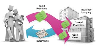 A Look At Whole Life Insurance Financial Directions