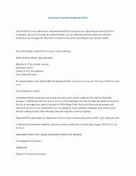 20 Resignation Letter to Clients | Best of Resume Example