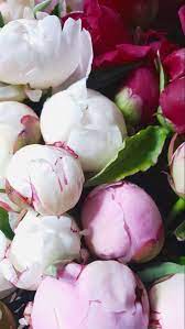 Pin On Wedding Flowers