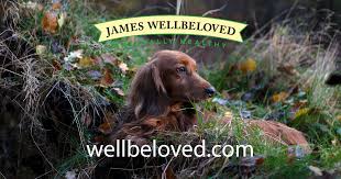 Maybe you would like to learn more about one of these? Ennis Pet Centre Online Pet Shop Ireland Your Pet Store Ireland Your Pet Store Pet Shop Ennis Clare Online Pet Shop