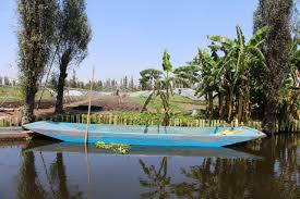 Find the travel option that best suits you. Chinampas Urban Farming In Mexico City Garden Culture Magazine