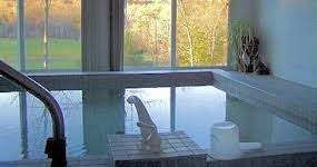 Pembroke Springs B Japanese Baths The Best Virginia Vacation Vacation Home Rentals Natural Spring Water