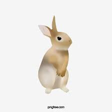 A Standing Rabbit Rabbit Clipart Rabbit Stand Up Png Transparent Clipart Image And Psd File For Free Download Rabbit Clipart Rabbit Illustration Rabbit Png