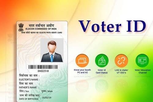 VOTING CARD product image