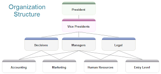 Organizational Structure Diagram Software