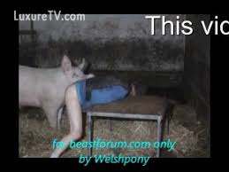 How to train your pig. Man Gets Fucked By Huge Pig Hd Porn Porn Tubes Video Sex Pornbraze Com