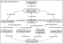 Learn about life science in the howstuffworks life science channel. Extending The P Plan Ontology To Represent Experimental Protocols In Download Scientific Diagram