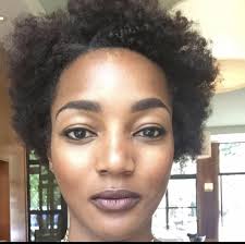 Lionel Hyman Jr and DiAndra Hyman's Wedding Website