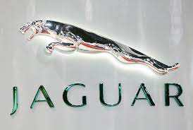 5 out of 5 stars. Jaguar Logo Hd Png Meaning Information