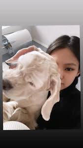 Pin By Rose Veronica On Blackpink In 2020 Blackpink Jennie Blackpink Blackpink Jisoo