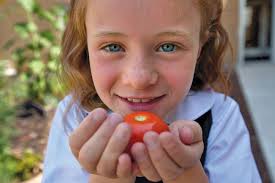 geTting scHooleD in thE gaRden a PortrAit oF schOol gArdenS thaT are  gettIng iT righT