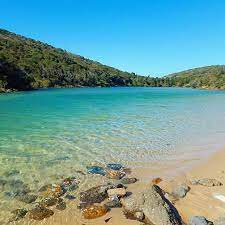 Hat Head Np Mid North Coast Nsw Australia Travel Places To Visit Adventure Travel