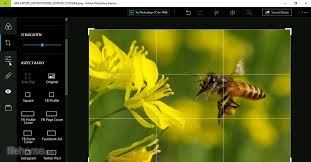 The photoshop editing software has dominated the digital photogr. Adobe Photoshop Express 3 5 77 Descargar Para Windows Imagenes Filehorse Com