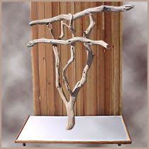 Pin By Beth Schwartz On Pet Birds Bird Stand Parrot Stand Bird Perch