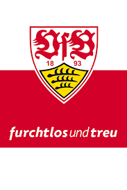 Verein für bewegungsspiele stuttgart 1893 e. Vfb Stuttgart Leitbild Motive
