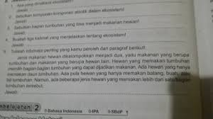 Informasi apa saja yang kamu peroleh? Tuliskan Informasi Penting Yang Kamu Peroleh Dari Paragraf Berikut Brainly Co Id
