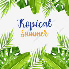 Pin By Nancy Beckel On Photobooth Template Ideas Palm Tree Pattern Tropical Palm Tree Leaves Palm Tree Pattern