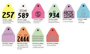 Pin On Custom Ear Tag Layouts