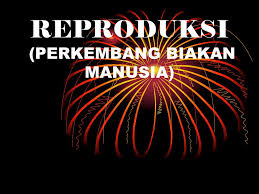 Check spelling or type a new query. Reproduksi Perkembang Biakan Manusia Ppt Download