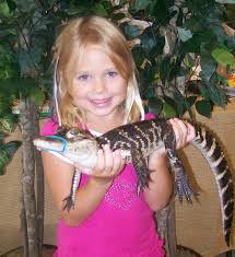 We did not find results for: Alam Sekitar Prasekolah Pendidikan Dan Kanak Kanak Sekolah Di Rusia Pembangunan Pendidikan Alam Sekitar