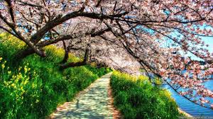 spring nature wallpapers top free