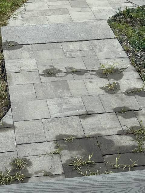 Paver joints are prone to weeds, but high-strength acid can compromise joint stability., AI generated
