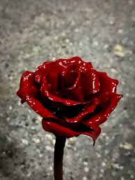 Resultado de imagen de rosas pequeñas