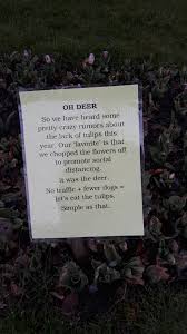 It is a hardwood tree that's native to most of the eastern united states. Oh Deer Album On Imgur