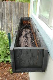 Step By Step Guide To Planting A Window Box