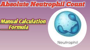 Check spelling or type a new query. Absolute Neutrophil Count Formula Absolute Neutrophil Manual Count Wbc Count In Microscope Youtube