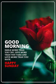 Good morning happy sunday images. 110 Latest Good Morning Sunday Images Photos Pic
