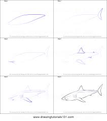 Draw a large almond shape in the center of the paper this will be the body of the great white. How To Draw A Great White Shark Printable Step By Step Drawing Sheet Drawingtutorials101 Com Drawing Sheet White Sharks Great White Shark