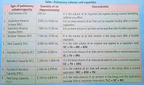 Image result for Vital Capacity