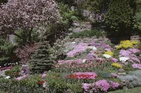 Ideas For Planting Perennials On A Slope Landscaping With Rocks Landscaping On A Hill Porch Landscaping
