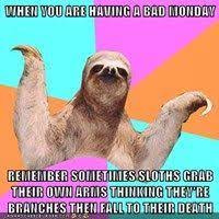 Pin On Funny Animal Pictures