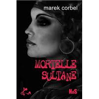 L'étrange voyage du Fuseau Gradué 1855