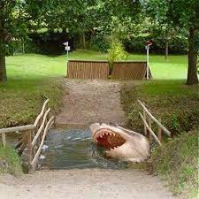 The maximum height of jumps is 1.2m but they can be quite big spreads (deep to jump over) and can. Saturday Is Phoblog Day Horse And Man Horse Jumping Cross Country Jumps Funny Horses