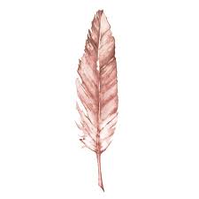 Rose Gold Feather Print Copper Print Watercolor Feather Copper Print Rose Gold Wall Art Feather Wall Art