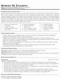 Information Technology Resume Template New Information Technology Manager Resume Samples In 2020 Resume Objective Examples Job Resume Samples Resume Objective