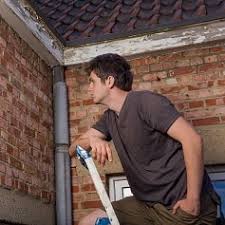 Melbourne's most trusted property inspectors. Building Pest Inspection Melbourne Pre Sale Pre Purchase Buildings