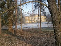 Publicat cu ocazia împlinirii a 20 de ani de la întoarcerea familiei regale la săvârșin. Castelul Regal De La SÄvarÈin The Royal Castle Of SÄvarsin Www Welcome2romania Wordpress Com Welcome To Romania