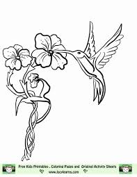 Download printable hummingbird coloring pages to print for free. Hummingbird Coloring Page Coloring Home